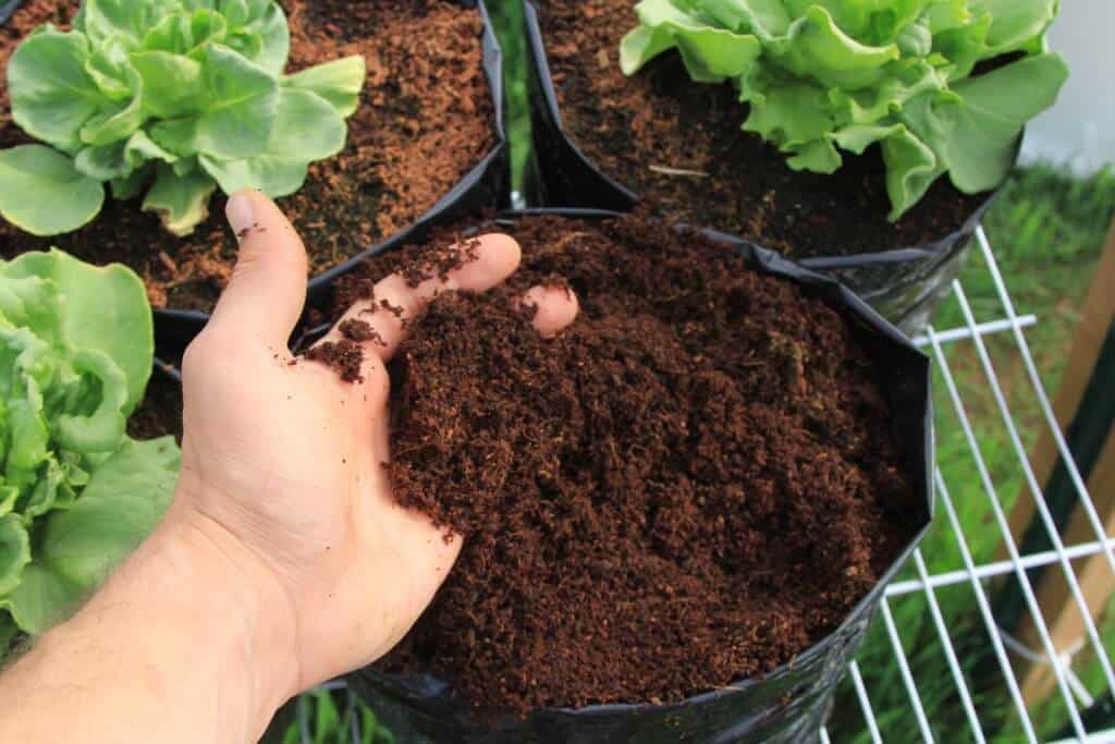Raita Mitra Cocopeat Block | Organic Coco Coir for Plants | Superior Water Retention & Root Growth | Expandable & Easy-to-Use | Ideal for Indoor & Outdoor Gardening