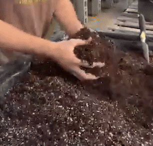 Raita Mitra Potting Soil 5KG – 100% Natural & Organic Garden Soil for Healthy Plants | Nutrient-Rich Potting Mix with High Water Retention & Anti-Fungal Properties