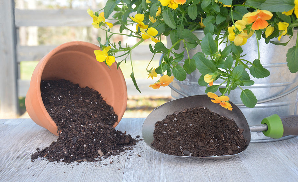 Raita Mitra Potting Soil 5KG – 100% Natural & Organic Garden Soil for Healthy Plants | Nutrient-Rich Potting Mix with High Water Retention & Anti-Fungal Properties