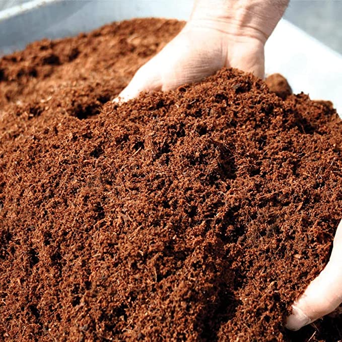 Raita Mitra Cocopeat Block | Organic Coco Coir for Plants | Superior Water Retention & Root Growth | Expandable & Easy-to-Use | Ideal for Indoor & Outdoor Gardening