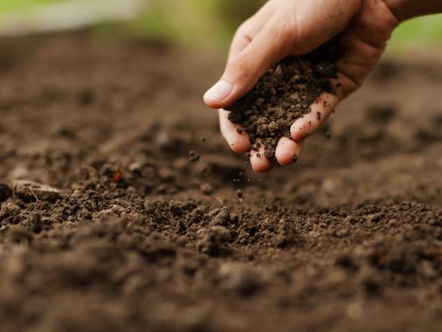 Raita Mitra Potting Soil 5KG – 100% Natural & Organic Garden Soil for Healthy Plants | Nutrient-Rich Potting Mix with High Water Retention & Anti-Fungal Properties