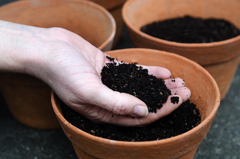 Raita Mitra Potting Soil 5KG – 100% Natural & Organic Garden Soil for Healthy Plants | Nutrient-Rich Potting Mix with High Water Retention & Anti-Fungal Properties