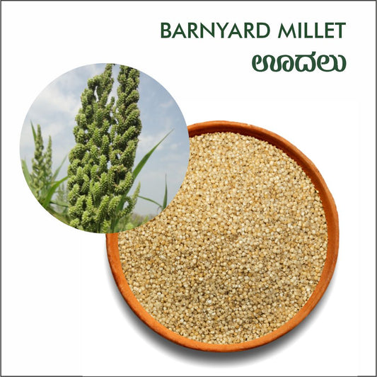 Barnyard millet