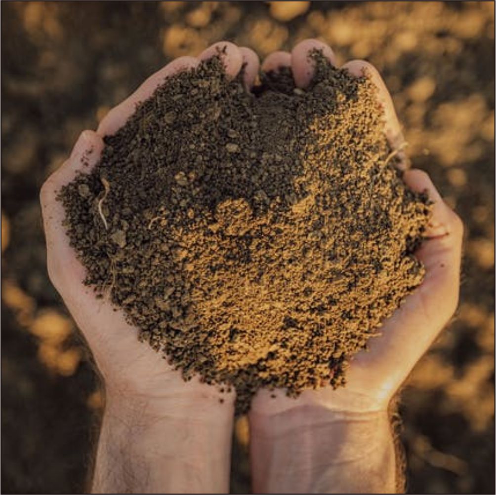 Bone meal compost