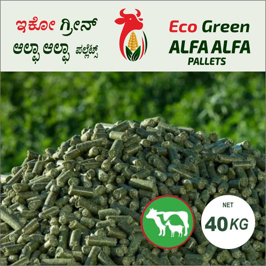 Alfalfa Pellets