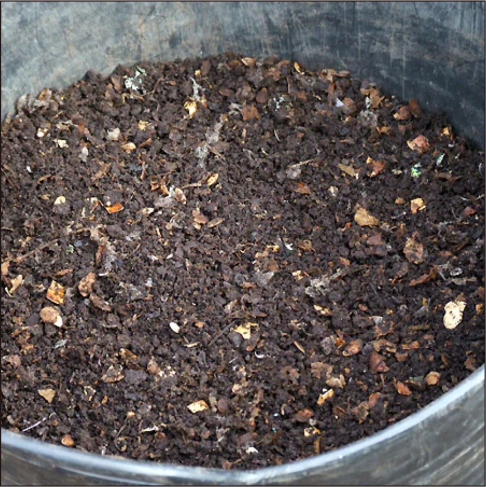 Eggshell compost