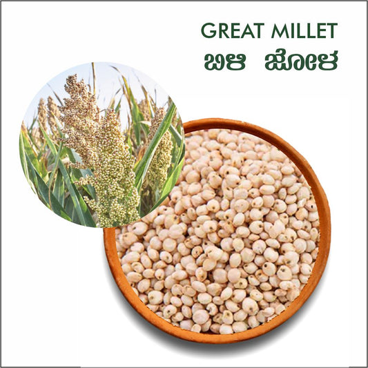 Great millet