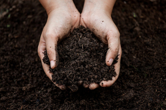 Organic compost