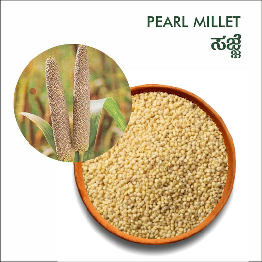 Pearl millet