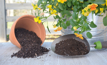 Raita Mitra Potting Soil 5KG – 100% Natural & Organic Garden Soil for Healthy Plants | Nutrient-Rich Potting Mix with High Water Retention & Anti-Fungal Properties