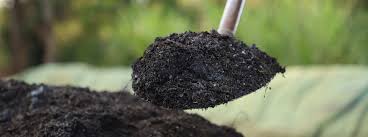 Organic compost